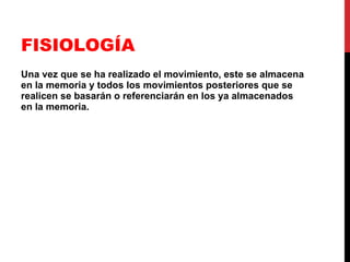 FISIOLOGÍA Una vez que se ha realizado el movimiento, este se almacena en la memoria y todos los movimientos posteriores que se realicen se basarán o referenciarán en los ya almacenados en la memoria. 