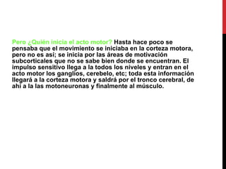 Pero ¿Quién inicia el acto motor?  Hasta hace poco se pensaba que el movimiento se iniciaba en la corteza motora, pero no es así; se inicia por las áreas de motivación subcorticales que no se sabe bien donde se encuentran. El impulso sensitivo llega a la todos los niveles y entran en el acto motor los ganglios, cerebelo, etc; toda esta información llegará a la corteza motora y saldrá por el tronco cerebral, de ahí a la las motoneuronas y finalmente al músculo. 