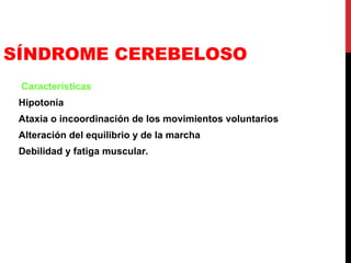 SÍNDROME CEREBELOSO Características Hipotonía Ataxia o incoordinación de los movimientos voluntarios Alteración del equilibrio y de la marcha Debilidad y fatiga muscular. 