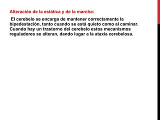 Alteración de la estática y de la marcha: El cerebelo se encarga de mantener correctamente la bipedestación, tanto cuando se está quieto como al caminar. Cuando hay un trastorno del cerebelo estos mecanismos reguladores se alteran, dando lugar a la ataxia cerebelosa. 