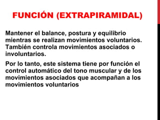 FUNCIÓN (EXTRAPIRAMIDAL) Mantener el balance, postura y equilibrio mientras se realizan movimientos voluntarios. También controla movimientos asociados o involuntarios. Por lo tanto, este sistema tiene por función el control automático del tono muscular y de los movimientos asociados que acompañan a los movimientos voluntarios 