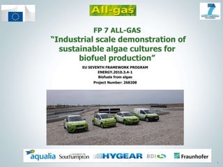 1
FP 7 ALL-GAS
“Industrial scale demonstration of
sustainable algae cultures for
biofuel production”
EU SEVENTH FRAMEWORK PROGRAM
ENERGY.2010.3.4-1
Biofuels from algae
Project Number: 268208
 