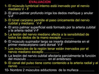 EVALUACION  1-   El músculo lumbrical interno está inervado por el nervio mediano V - F   2- El arco palmar profundo irriga los dedos meñique y anular  V-F 3- El túnel carpiano permite el paso únicamente del nervio cubital y mediano  V-F   4- El arco palmar superficial está formado por la arteria cubital y la arteria radial V-F 5- La lesión del nervio mediano afecta a la sensibilidad de todos los dedos de la mano excepto ……….. 6- El músculo supinador largo se inserta distalmente en el primer metacarpiano cara dorsal  V-F  7- Los músculos de la región tenar están inervados por el nervio mediano excepto ………….. 8- La lesión del nervio cubital afectaría parcialmente la función del músculo ………………  en el antebrazo 9- El canal del pulso tiene como contenido a la arteria radial y al nervio  ………………. 10- Nombre 2 músculos adductores  de la muñeca ………….. 
