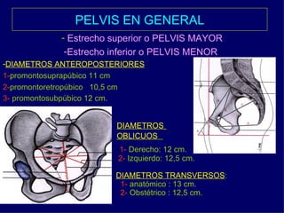 PELVIS EN GENERAL Estrecho superior o PELVIS MAYOR Estrecho inferior o PELVIS MENOR   DIAMETROS ANTEROPOSTERIORES 1- promontosuprapúbico 11 cm 2- promontoretropúbico  10,5 cm 3-  promontosubpúbico 12 cm.   DIAMETROS   OBLICUOS   1-  Derecho: 12 cm. 2-  Izquierdo: 12,5 cm. DIAMETROS TRANSVERSOS : 1-  anatómico : 13 cm. 2-  Obstétrico : 12,5 cm. 