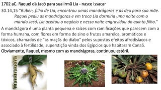 1702 aC. Raquel dá Jacó para sua irmã Lia - nasce Issacar
30.14,15 “Rúben, filho de Lia, encontrou umas mandrágoras e as deu para sua mãe.
Raquel pediu as mandrágoras e em troca Lia dormiria uma noite com o
marido Jacó. Lia aceitou o negócio e nessa noite engravidou do quinto filho.”
A mandrágora é uma planta pequena e raízes com ramificações que parecem com a
forma humana, com flores em forma de sino e frutos amarelos, aromáticos e
tóxicos, chamados de "as maçãs do diabo" pelos supostos efeitos afrodisíacos e
associado à fertilidade, superstição vinda dos Egípcios que habitaram Canaã.
Obviamente, Raquel, mesmo com as mandrágoras, continuou estéril.
 