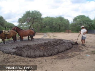 “PISADERO” PARA
 