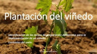 Plantación del viñedo
• Identificación de las tareas de preparación del terreno para la
implementación de un viñedo.
• Limitantes del suelo.
Ing. Agrónomo Victor Romero
 