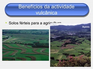 Benefícios da actividade
               vulcânica
• Solos férteis para a agricultura.
                                      Açores
 