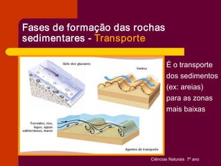 Fases de formação das rochas 
sedimentares ­ Transporte 

                                 É o transporte 
                                 dos sedimentos 
                                 (ex: areias) 
                                 para as zonas 
                                 mais baixas




                         Ciências Naturais  7º ano 
 