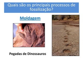 Quais são os principais processos de 
           fossilização? 
             Moldagem 
                                          Molde 
                                          Interno 




Molde Externo 




  Pegadas de Dinossauros
                         Molde Interno    Molde Externo 
 