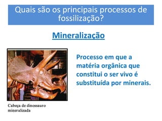 Quais são os principais processos de 
              fossilização? 
                         Mineralização 

                               Processo em que a 
                               matéria orgânica que 
                               constitui o ser vivo é 
                               substituída por minerais. 


Cabeça de dinossaur o 
miner alizada
 