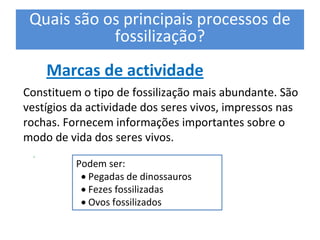 Quais são os principais processos de 
            fossilização? 
    Marcas de actividade 
Constituem o tipo de fossilização mais abundante. São 
vestígios da actividade dos seres vivos, impressos nas 
rochas. Fornecem informações importantes sobre o 
modo de vida dos seres vivos. 
 . 
             Podem ser: 
Molde Externo 
            · Pegadas de dinossauros 
            · Fezes fossilizadas 
            · Ovos fossilizados
                                Molde Interno    Molde Externo 
 