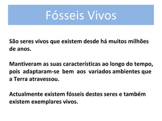 Fósseis Vivos 
São seres vivos que existem desde há muitos milhões 
de anos. 

Mantiveram as suas características ao longo do tempo, 
pois  adaptaram‐se  bem  aos  variados ambientes que 
a Terra atravessou. 

Actualmente existem fósseis destes seres e também 
existem exemplares vivos.
 