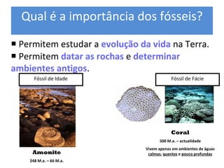 Qual é a importância dos fósseis? 

¡ Permitem estudar a evolução da vida na Terra. 
¡ Permitem datar as rochas e determinar 
ambientes antigos. 
      Fóssil de Idade                             Fóssil de Fácie




                                                  Coral 
                                            500 M.a. – actualidade 
                                    Vivem apenas em ambientes de águas 
     Amonite              Molde Interno  quentes e pouco profundas 
                                     calmas, Molde Externo 
    248 M.a. – 66 M.a. 
 