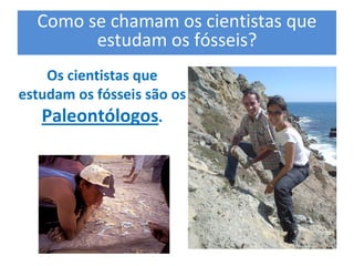 Como se chamam os cientistas que 
        estudam os fósseis? 
    Os cientistas que 
estudam os fósseis são os 
   Paleontólogos.
 