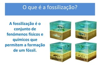 O que é a fossilização? 

  A fossilização é o 
     conjunto de 
 fenómenos físicos e 
    químicos que 
permitem a formação 
    de um fóssil.
 
