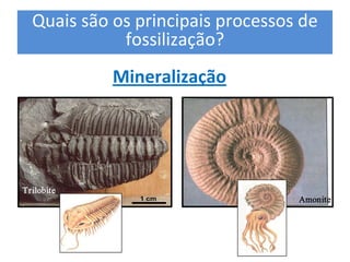 Quais são os principais processos de 
fossilização? 
Mineralização 
Trilobite 
Amonite
 