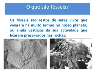 O que são fósseis? 
Os  fósseis  são  restos  de  seres  vivos  que 
viveram há muito tempo no nosso planeta, 
ou  ainda  vestígios  da  sua  actividade  que 
ficaram preservados nas rochas.
 