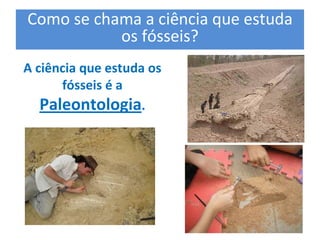 Como se chama a ciência que estuda 
os fósseis? 
A ciência que estuda os 
fósseis é a 
Paleontologia.
 