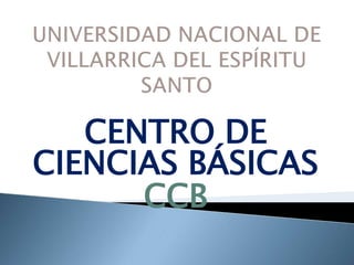 CENTRO DE
CIENCIAS BÁSICAS
      CCB
 