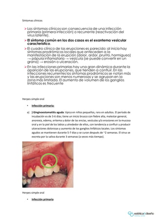 Síntomas clínicos
Herpes simple oral
• Infección primaria:
a) ) Gingivoestomatitis aguda: típica en niños pequeños, rara en adultos. El período de
incubación es de 3-6 días; tiene un inicio brusco con fiebre alta, malestar general,
anorexia, edema, eritema y dolor de las encías, vesículas y/o erosiones en la mucosa
oral y en la piel de los labios y alrededor de ellos, con tendencia a confluir y producir
ulceraciones dolorosas y aumento de los ganglios linfáticos locales. Los síntomas
agudos se mantienen durante 5-7 días y se curan después de ~2 semanas. El virus se
excreta por la saliva durante 3 semanas (a veces más tiempo).
Herpes simple oral
• Infección primaria
 