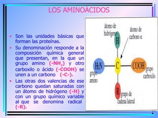 LOS AMINOÁCIDOS <ul><li>Son las unidades básicas que forman las proteínas. </li></ul><ul><li>Su denominación responde a la...
