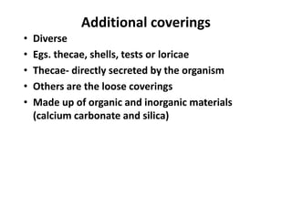 Additional coverings
• Diverse
• Egs. thecae, shells, tests or loricae
• Thecae- directly secreted by the organism
• Others are the loose coverings
• Made up of organic and inorganic materials
(calcium carbonate and silica)
 