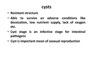 cysts
• Resistant structure
• Able to survive an adverse conditions like
dessication, low nutrient supply, lack of oxygen
etc.
• Cyst stage is an infective stage for intestinal
pathogens
• Cyst is important mean of asexual reproduction
 