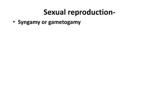 Sexual reproduction-
• Syngamy or gametogamy
 