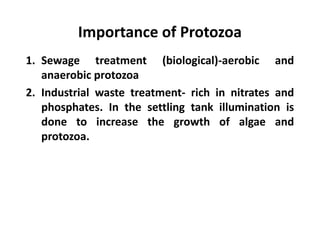 Importance of Protozoa
1. Sewage treatment (biological)-aerobic and
anaerobic protozoa
2. Industrial waste treatment- rich in nitrates and
phosphates. In the settling tank illumination is
done to increase the growth of algae and
protozoa.
 