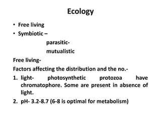 Ecology
• Free living
• Symbiotic –
parasitic-
mutualistic
Free living-
Factors affecting the distribution and the no.-
1. light- photosynthetic protozoa have
chromatophore. Some are present in absence of
light.
2. pH- 3.2-8.7 (6-8 is optimal for metabolism)
 