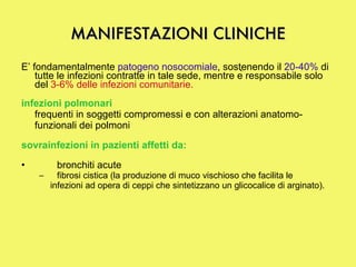 MANIFESTAZIONI CLINICHE E’ fondamentalmente  patogeno nosocomiale , sostenendo il  20-40%  di tutte le infezioni contratte in tale sede, mentre è responsabile solo del  3-6% delle infezioni comunitarie.  infezioni polmonari   frequenti in soggetti compromessi e con alterazioni anatomo-funzionali dei polmoni  sovrainfezioni in pazienti affetti da:   bronchiti acute  fibrosi cistica (la produzione di muco vischioso che facilita le  infezioni ad opera di ceppi che sintetizzano un glicocalice di arginato). 