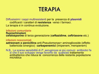 TERAPIA Diffusissimi i ceppi multiresistenti  per la  presenza di  plasmidi  codificanti i caratteri di  resistenza   verso i farmaci.  La terapia è in continua evoluzione.  Infezioni comunitarie   fluorochinoloni   cefalosporine  di terza generazione ( ceftazidime ,  ceftriaxone  etc.)  infezioni nosocomiali   aztreonam o penicillina  anti-Pseudomonas+ aminoglicoside (effetto battericida sinergico)  carbapenemici  (imipenem, meropenem) N.B.  La scarsa sensibilità̀ di  P .  aeruginosa  ai più comuni  antibiotici fa sì che il suo sviluppo venga favorito da  qualsiasi  trattamento antibatterico   che   riduca la  concorrenza della restante popolazione microbica  
