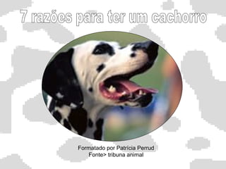 Formatado por Patrícia Perrud Fonte> tribuna animal 7 razões para ter um cachorro 