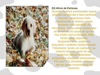 03) Alívio de Estresse Quando ficamos estressados nossa pressão sangüínea e taxa cardíaca crescem, respiramos mais rapidamente, e nossos corpos recebem uma explosão de hormônios. Todas estas razões são as tentativas do corpo de ajudar-nos a lidar com a situação. Mas tendo estas respostas freqüentemente, podemos prejudicar o sistema cardiovascular. Felizmente, tendo um cachorro, ou mesmo estando perto de um, podemos reduzir respostas perigosas a situações estressantes. Pôr que? Os cientistas atribuem isto ao apoio incondicional do cachorro. 