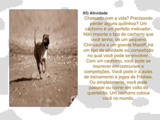 05) Atividade Chateado com a vida? Precisando perder alguns quilinhos? Um cachorro é um perfeito motivador. Não importa o tipo de cachorro que você tenha, de um pequeno Chihuauha a um grande Mastiff, há um tipo de atividade ou competição no qual você pode se envolver. Com um cachorro, você pode se inscrever em concursos e competições. Você pode ir a aulas de treinamento e jogos de Frisbee. Ou simplesmente, você pode passear ou correr em volta do quarteirão. Um cachorro coloca você no mundo.   