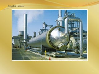 Reactor tubular
70
 