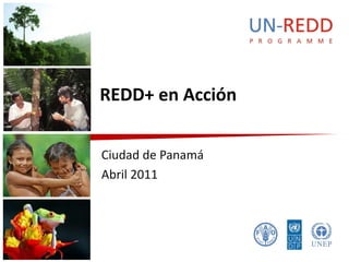 REDD+ en Acción


Ciudad de Panamá
Abril 2011
 