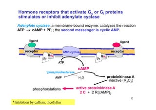 Pdf Regulation Of Nad Metabolism Signaling And Compartmentalization