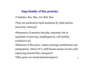 7 regulation of metabolism | PDF