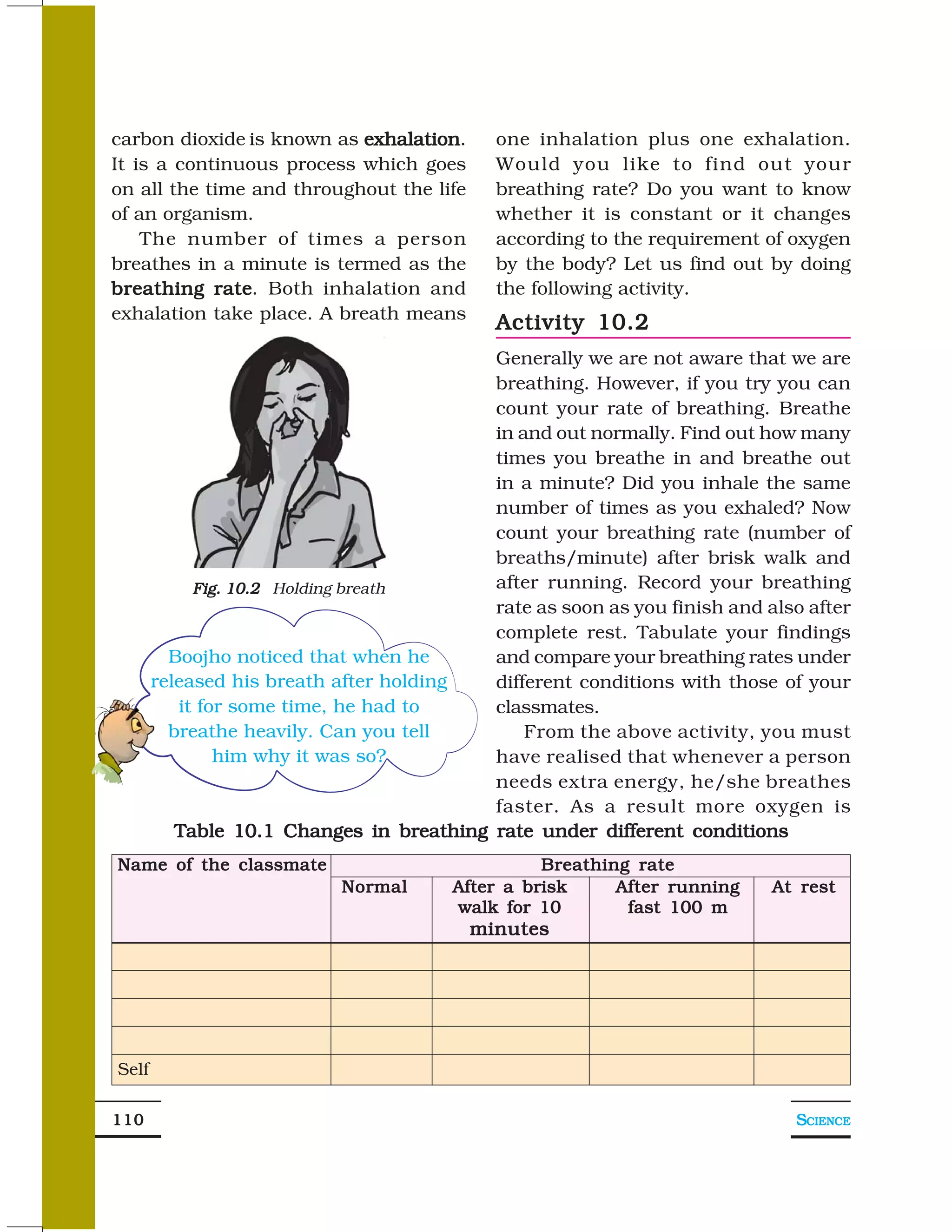 carbon dioxide is known as exhalation
                            exhalation.     one inhalation plus one exhalation.
It is a continuous process which goes       Would you like to find out your
on all the time and throughout the life     breathing rate? Do you want to know
of an organism.                             whether it is constant or it changes
    The number of times a person            according to the requirement of oxygen
breathes in a minute is termed as the       by the body? Let us find out by doing
breathing rate Both inhalation and
            rate.                           the following activity.
exhalation take place. A breath means
                                            Activity 10.2
                                          Generally we are not aware that we are
                                          breathing. However, if you try you can
                                          count your rate of breathing. Breathe
                                          in and out normally. Find out how many
                                          times you breathe in and breathe out
                                          in a minute? Did you inhale the same
                                          number of times as you exhaled? Now
                                          count your breathing rate (number of
                                          breaths/minute) after brisk walk and
            Fig. 10.2 Holding breath      after running. Record your breathing
                                          rate as soon as you finish and also after
                                          complete rest. Tabulate your findings
         Boojho noticed that when he      and compare your breathing rates under
       released his breath after holding  different conditions with those of your
          it for some time, he had to     classmates.
         breathe heavily. Can you tell        From the above activity, you must
               him why it was so?         have realised that whenever a person
                                          needs extra energy, he/she breathes
                                          faster. As a result more oxygen is
          Table 10.1 Changes in breathing rate under different conditions
Name of the classmate                            Breathing rate
                           Normal      After a brisk     After running    At rest
                                       walk for 10        fast 100 m
                                          minutes




Self

110                                                                          SCIENCE
 