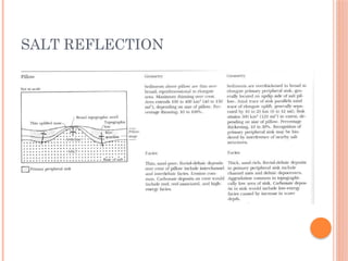 Salt Reflection 7-sedimentary environment characterization using Seismic sequence ...