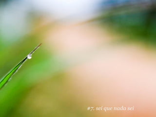 #7. sei que nada sei
 