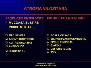 ATROFIA VILOZITARA PRODUCTIE ENTEROCITE MUCOASA SUBTIRE INDICE MITOTIC ↓ MPC SEVERA AGENTI CITOTOXICI AVITAMINOZA B12 ANTIFOLICE IRADIERE Rx   DISTRUCTIE ENTEROCITE BOALA CELIACA SD. POSTGASTROENTERITIC SPRUE TROPICAL GIARDIA DEFICITE IMUNE IPLV 