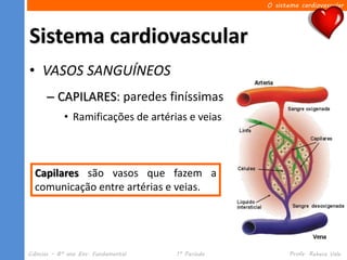 O sistema cardiovascular




Sistema cardiovascular
• VASOS SANGUÍNEOS
      – CAPILARES: paredes finíssimas
            • Ramificações de artérias e veias



  Capilares são vasos que fazem a
  comunicação entre artérias e veias.




Ciências – 8º ano Ens. Fundamental   1º Período          Profa. Rebeca Vale
 