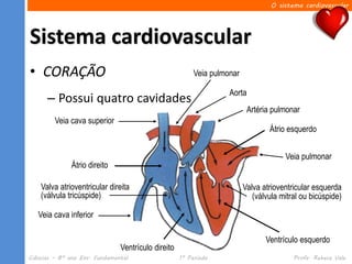 O sistema cardiovascular




Sistema cardiovascular
• CORAÇÃO                                                Veia pulmonar

                                                                   Aorta
      – Possui quatro cavidades
                                                                          Artéria pulmonar
         Veia cava superior
                                                                                 Átrio esquerdo


                                                                                      Veia pulmonar
              Átrio direito

    Valva atrioventricular direita                                       Valva atrioventricular esquerda
    (válvula tricúspide)                                                    (válvula mitral ou bicúspide)

   Veia cava inferior

                                                                                Ventrículo esquerdo
                               Ventrículo direito
Ciências – 8º ano Ens. Fundamental                  1º Período                           Profa. Rebeca Vale
 