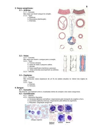 8
3. Vasos sangüíneos:
     3.1 – Artérias:
           3.1.1 – Conceito:
           São vasos que levam sangue do coração .
           3.1.2 – Tipos:
                  a. Elásticas.
                  b. Musculares (distribuição) .
                  c. Arteríolas.




     3.2 – Veias:
           3.2.1 – Conceito:
           São vasos que trazem o sangue para o coração.
           3.2.2 – Tipos:
                  a. Troncos venosos.
                  b. Veias de médio e pequeno calibre .
                  c. Vênulas.
                  d. Veias superficiais (membros e pescoço) .
                  e. Veias profundas (acompanham as artérias) .
           3.2.3 – Válvulas.

     3.3 – Capilares:
           3.3.1 – Conceito:
           São minúsculos vasos (espessura de um fio de cabelo) situados no interior dos órgãos do
           corpo.
           3.3.2 – Tipos:
                  a. Arteriais.
                  b. Venosos.
4. Sangue:
     4.1 – Conceito:
     São lâminas, que deslizam entre si, localizadas dentro do coração e dos vasos sanguíneos.
     4.2 – Constituição:
           4.2.1 – Plasma.
           4.2.2 – Elementos figurados:
                  a. Hemácias (glóbulos vermelhos): responsáveis pelo transporte de oxigênio e ferro.
                  b. Leucócitos (glóbulos brancos): responsáveis pela defesa do organismo.
                  c. Plaquetas: coagulação sangüí nea.
 