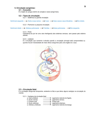 9
      5. Circulação sangüínea :
            5.1 – Conceito:
             É o trajeto do sangue dentro do coração e vasos sangü íneos.

             5.2 – Tipos de circulação:
                     5.2.1 – Sistêmica ou grande circulação:

Ventrículo esquerdo          Aorta e seus ramos         C orpo    Veias cavas e seus tributários     Átrio direito.

                     5.2.2 – Pulmonar ou pequena circulação:

Ventrículo direito       Artérias pulmonares          Pulmões     Veias pulmonares         Átrio esquerdo.

                     5.2.3 – Porta:
                     Caracteriza-se por ter uma veia interligando dois sistemas venosos, sem passar pelo sistema
                     arterial.

                     5.2.4 – colateral:
                     É a circulação que somente é ativada quando a circulação principal está comprometida ou
                     quando houver necessidade de maior afluxo sanguíneo para uma região do c orpo.




             5.3 – Circulação fetal:
             É a circulação sanguínea temporária, existente no feto e que deixa alguns vestígios na circulação do
             vivente.

                     5.3.1 – Vestígios da circulação fetal:
                            a. Veia umbilical                    Ligamento redondo do fígado .
                            b. Ducto venoso                      Ligamento venoso.
                            c. Forame oval                       Fossa oval.
                            d. Ducto arterioso                   Ligamento arterioso.
                            e. Artérias umbilicais               Ligamento redondo da bexiga .
 