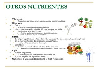 OTROS NUTRIENTES Vitaminas . Reguladora: participan en un gran número de reacciones vitales. Minerales . Calcio: 99% de la estructura del hueso en lácteos. Hierro (en casquería: hígado, riñones, sangre, morcilla…): Componente de la hemoglobina: Proteína que transporta el oxigeno y al anhídrido carbónico. Necesaria la Vitamina C para su asimilación. Fibras . De origen vegetal (tallos y hojas de verduras, cascarillas de cereales, legumbres y fruta). En su mayoría hidratos de carbono no aprovechables. No disponibles como fuente de energía. Beneficios: Permiten el correcto tránsito intestinal de los alimentos. AF+ sudoración+estreñimiento (Delgado, Gutiérrez y Castillo, 1997: 231). Agua . Función Reguladora. Ej. termorregulación, el transporte, la digestión, etc. 60-70% del peso del organismo adulto.  Nutrientes    Sist. cardiocirculatorio    Sist. metabólico. 