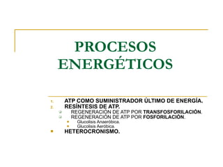 PROCESOS ENERGÉTICOS ATP COMO SUMINISTRADOR ÚLTIMO DE ENERGÍA. RESÍNTESIS DE ATP. REGENERACIÓN DE ATP POR  TRANSFOSFORILACIÓN . REGENERACIÓN DE ATP POR  FOSFORILACIÓN . Glucolisis Anaeróbica. Glucolisis Aeróbica. HETEROCRONISMO. 